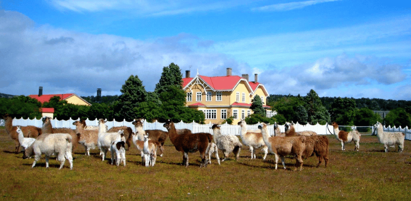 Estancia Río Penitente, tradiciones del campo magallánico