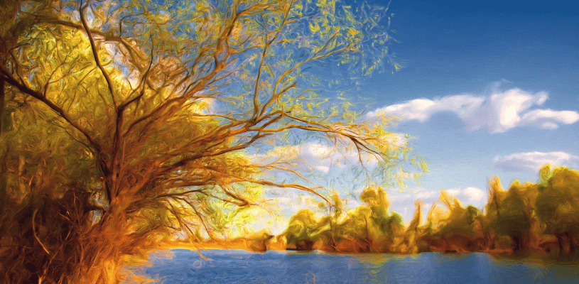 TALLER DE PINTURA NATURALEZA Y PAISAJE