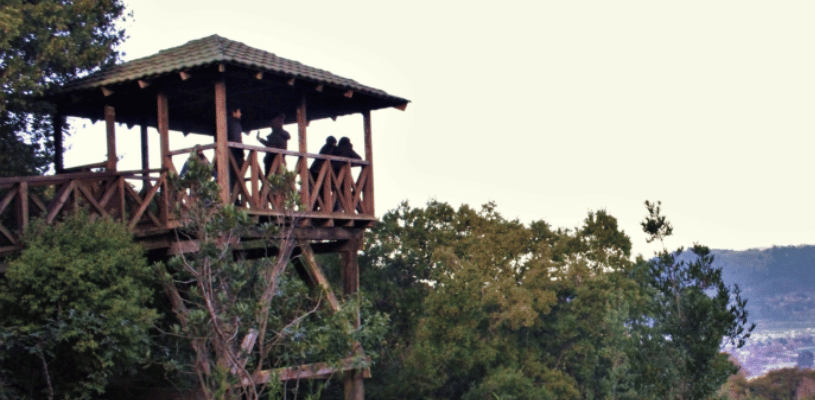 Música y Maridaje en el Cerro Ñielol