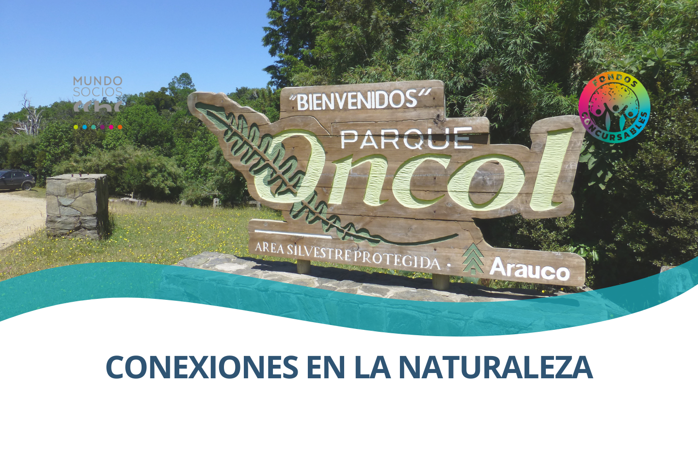 Conexiones en la naturaleza