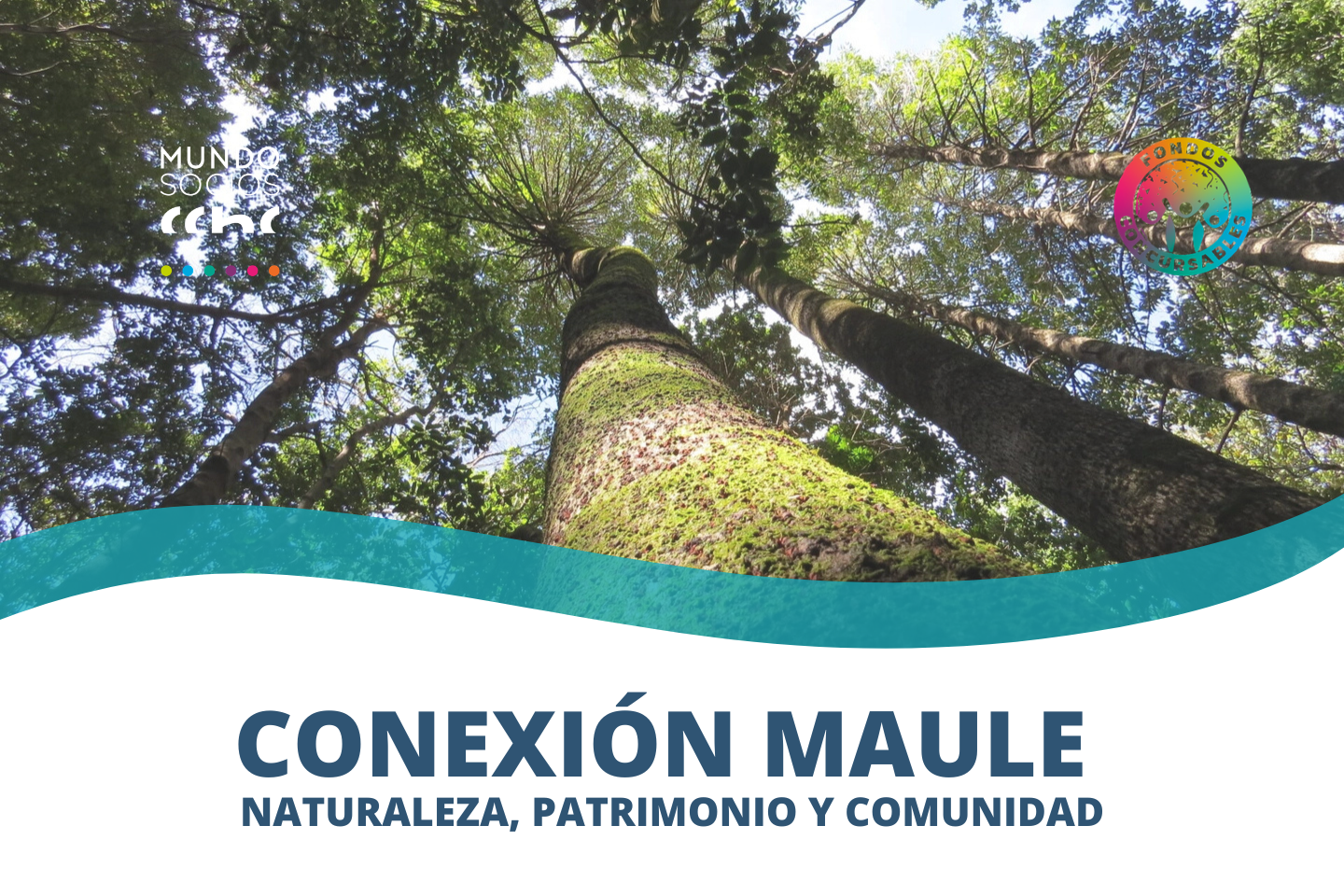 Conexión Maule: Naturaleza, patrimonio y comunidad